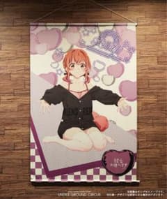 彼女、お借りします UGCコラボ 等身大タペストリー 桜沢墨 - メルカリ