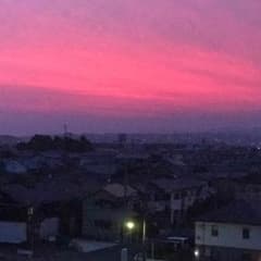 ぺーた様専用！のサムネイル