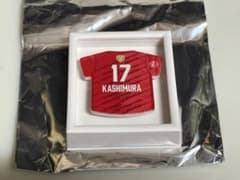 サントリーサンバーズ　樫村 大仁のサムネイル