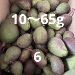 摘果マンゴー　　10〜65g 6kgのサムネイル
