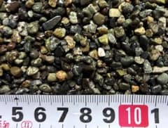 水槽用砂　大磯砂中粒　900g(約0.6リットル) 魚やアクアリウム等の水槽にのサムネイル