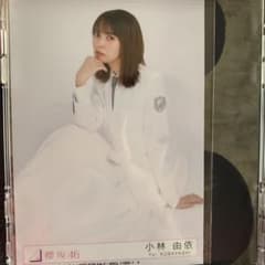 小林由依 櫻坂46 生写真のサムネイル