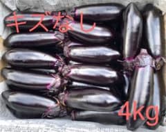 くろべえナス　キズなし4kgのサムネイル