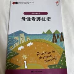 母性看護技術 = Practice to Maternal Nursingのサムネイル