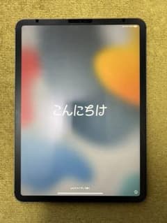 iPad Pro 11インチ 256GB 第1世代 wifi+cellular他のサムネイル