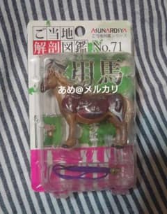 奇譚クラブ あすなろ舎 ご当地解剖図鑑 食用馬 九州 奇譚クラブ あすなろ舎 ご当地解剖図鑑 食用馬 九州 - メルカリ