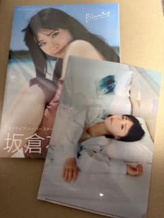 坂倉花1st写真集 Blooming + ドラゴンエイジ付録 クリアファイル