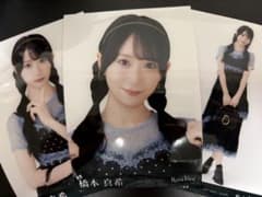 橋本真希 RainTree レインツリー ドットコーデ 生写真 コンプ - メルカリ