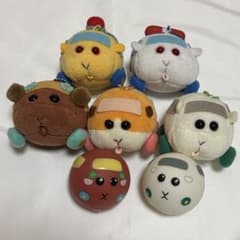 [PUIPUI 몰카] 모치코로린 5개 세트 덤 첨부
