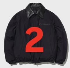 2YOKE 別注 Phenix GORETEX LABS DOWNBLOUSON - メルカリ