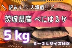 ⚠︎訳ありさつまいも 【 茨城県産 べにはるか サイズMIX 5kg 】のサムネイル