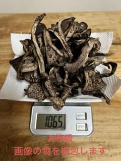 香茸　乾燥　200g以上 A等級 ②のサムネイル
