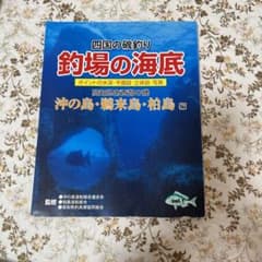 四国の磯釣り　釣り場の海底のサムネイル
