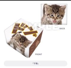 ブロッコリートレカアイテムくじEX 猫これくしょん 合皮製デッキケース