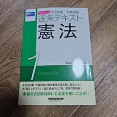 2025年版 司法試験 予備試験 逐条テキスト 憲法 1のサムネイル