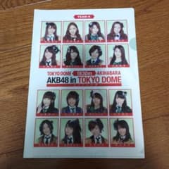 AKB48 in TOKYO DOME クリアファイルのサムネイル