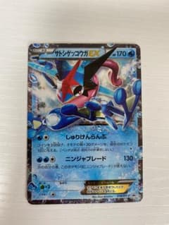 サトシゲッコウガEX P 次世代WHF’16 Winter 来場者特典 キラ … サトシゲッコウガEX P 次世代WHF'16 Winter 来場者特典 キラ 2 - メルカリ