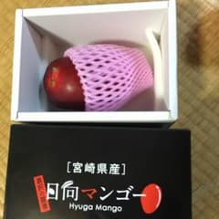 しばいぬ様専用のサムネイル