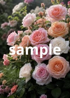 一点限り】薔薇 ローズ 花束 フラワーアート A062 - メルカリ