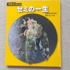 科学のアルバム セミの一生 あかね書房 - メルカリ