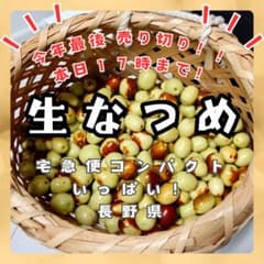 なつめ　生なつめ　本日１７時まで　約1キロのサムネイル