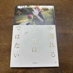 いつか別れる。 でもそれは今日ではないのサムネイル
