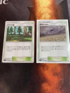 トキワの森、混沌のうねりのサムネイル