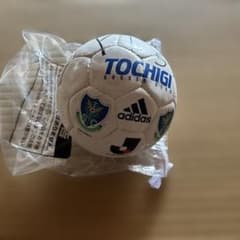 栃木SC サッカーボールのサムネイル