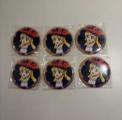 アイカツ缶バッジ 21個 星宮いちご 紫吹蘭 新条ひなき 大空あかり 氷上