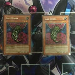 ゲールドグラ 英語 2枚 遊戯王のサムネイル