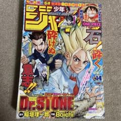 週刊少年ジャンプ 2017年 14号 Dr.STONE 新連載　初掲載 週刊少年ジャンプ 2017年14号 ドクターストーン新連載 表紙 巻頭カラー