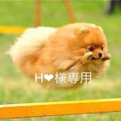 H❤︎様専用のサムネイル