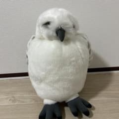 ハリーポッターシロフクロウ ぬいぐるみ ホワイトのサムネイル