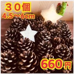 本日限定‼️⭐️松ぼっくり⭐️【３０個】⭐️ハンドメイド　クリスマス　リース　ツリー⭐️のサムネイル