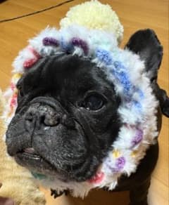 フレブル　ニット帽のサムネイル