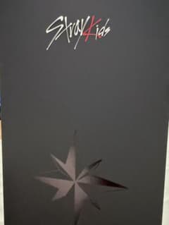 Stray Kids 公式ペンライト VER.2 スキズ 新品未開封のサムネイル