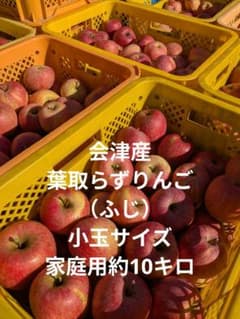 会津産　葉取らずりんご小玉サイズ　 家庭用約10キロのサムネイル