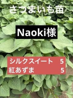 さつまいも苗のサムネイル