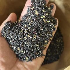 R8年産 屑米　黒米(インディカ種) 10kgのサムネイル