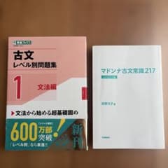 古文レベル別問題集①文法編、マドンナ古文常識217 2冊セットのサムネイル