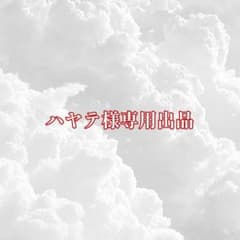 ハヤテ様専用出品のサムネイル