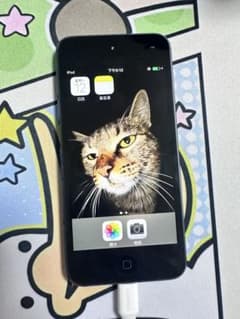 Apple iPod touch 第5世代 A1421 本体のサムネイル