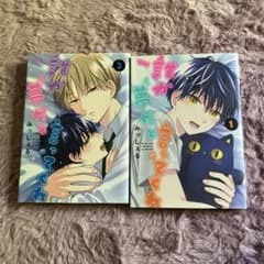 BL漫画 誰か夢だと言ってくれ①② みっしぇるのサムネイル
