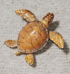 ウミガメ☆ジュエリーケースのサムネイル