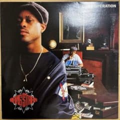 ギャングスター ダイアリー オペレーション 2枚組LP ギャングスター ダイアリー オペレーション 2枚組LP - メルカリ