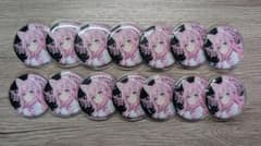 ホロライブ 博衣こより 缶バッジ アニメイト 14個 - メルカリ