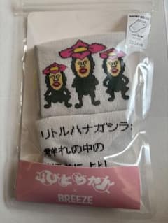 BREEZE こびとづかん ソックス 22-24cm