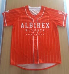アルビレックス新潟ベースボール　ユニフォームのサムネイル