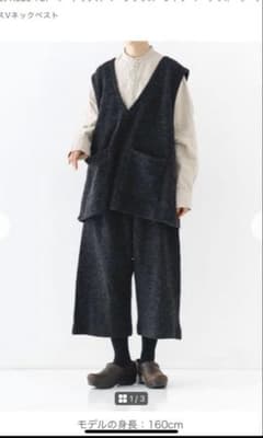 ネストローブ nest Robe クウォーターフェイスVネックベスト ネストローブ nest Robe クウォーターフェイスVネックベスト - メルカリ
