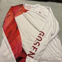 極美品】GOSEN ソフトテニス 長袖Tシャツ 2022ハイジャパ(Lサイズ